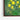 Vibrant Lemon Essence in Green Framed Canvas (Walnut) / 10 x 8