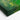 Vibrant Lemon Essence in Green Canvas Wrap / 10 x 8