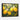 Vibrant Lemon Orchard in Bloom Framed Canvas (Black) / 32 x 24