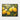 Vibrant Lemon Orchard in Bloom Framed Canvas (Black) / 14 x 11