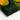 Vibrant Lemon Orchard in Bloom Canvas Wrap / 48 x 32