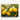 Vibrant Lemon Orchard in Bloom Canvas Wrap / 24 x 18