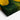 Vibrant Lemon Orchard in Bloom Canvas Wrap / 24 x 18