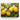Vibrant Lemon Orchard in Bloom Canvas Wrap / 10 x 8