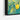 Sunlit Citrus Symphony on Canvas Framed Canvas (Black) / 48 x 32