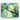 Whispers of Spring: Impressionist Serenity Canvas Wrap / 10 x 8