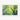 Spring's Embrace in Vivid Green Fine Art Print / 30 x 20