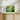 Spring's Embrace in Vivid Green Fine Art Print / 20 x 16
