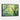 Spring's Embrace in Vivid Green Framed Canvas (Black) / 30 x 20