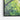 Spring's Embrace in Vivid Green Framed Canvas (Black) / 24 x 18