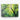 Spring's Embrace in Vivid Green Canvas Wrap / 40 x 30