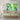Sunlit Canopy: Vibrant Forest Embrace Canvas Wrap / 48 x 32