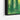 Whispering Greens: Abstract Forest Depths Framed Canvas (Black) / 32 x 24