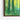 Whispering Greens: Abstract Forest Depths Framed Canvas (Walnut) / 14 x 11