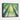 Verdant Sunlit Forest Escape Framed Canvas (Black) / 20 x 16