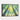 Verdant Sunlit Forest Escape Framed Canvas (Walnut) / 48 x 32