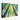 Verdant Sunlit Forest Escape Canvas Wrap / 30 x 20