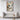 Whimsical Gaze of a Paper Mosaic Cat Framed Canvas (Walnut) / 32 x 48