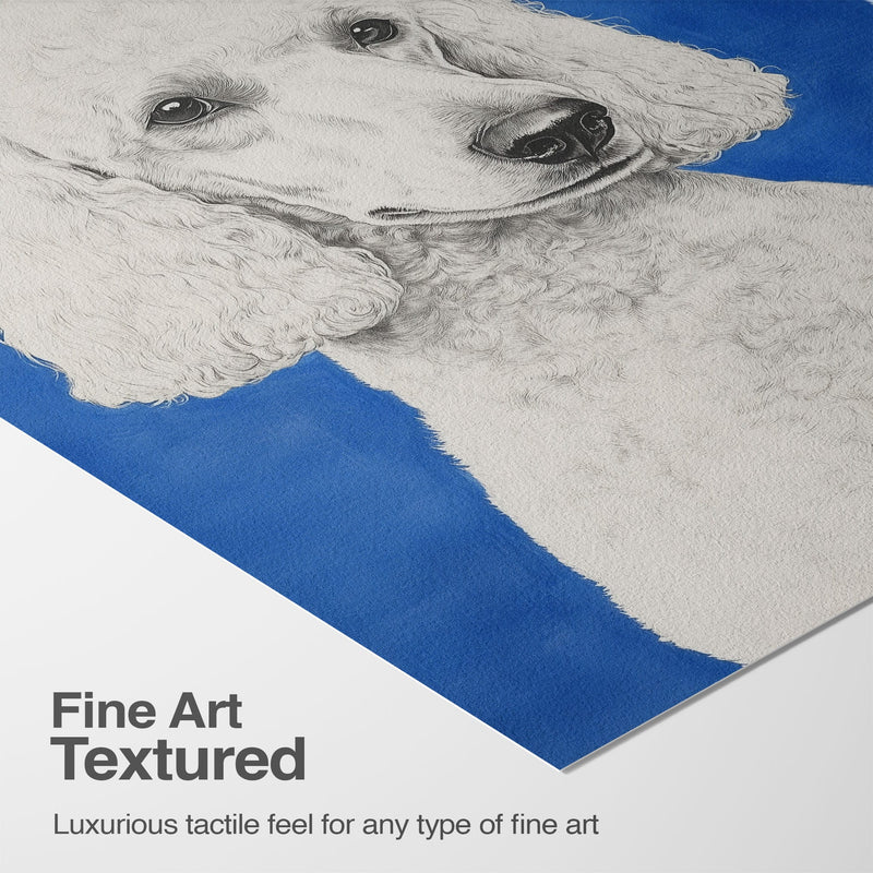 Luxurious Texture & Detail