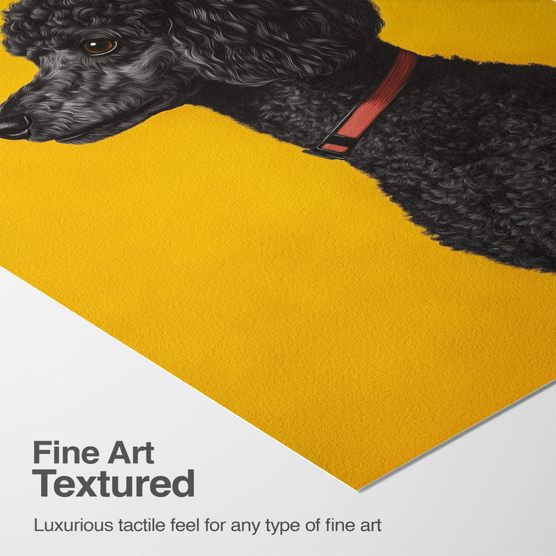 Luxurious Texture & Detail