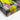 Electric Pink Canine Abstract Fusion Canvas Wrap / 32 x 48