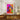 Vivid Canine Gaze in Colorful Expression Fine Art Print / 24 x 32