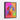 Vivid Canine Gaze in Colorful Expression Framed Canvas (Black) / 24 x 32