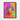 Vivid Canine Gaze in Colorful Expression Framed Canvas (Black) / 30 x 40