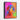 Vivid Canine Gaze in Colorful Expression Framed Canvas (Black) / 11 x 14