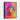 Vivid Canine Gaze in Colorful Expression Framed Canvas (Black) / 11 x 14