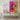 Vivid Canine Gaze in Colorful Expression Canvas Wrap / 24 x 32