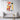 Whimsical Dog Amidst Colorful Abstract Canvas Wrap / 20 x 30