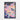 Enchanted Flutter of Colorful Dreams Framed Canvas (Black) / 20 x 30