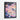 Enchanted Flutter of Colorful Dreams Framed Canvas (Black) / 30 x 40