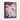 Enchanted Flutter of Colorful Dreams Framed Canvas (Walnut) / 24 x 32