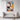 Vibrant Geometric Symphony on Canvas Framed Canvas (Walnut) / 32 x 48