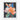 Vivid Butterflies on Blossoming Colors Fine Art Print / 16 x 20