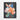 Vivid Butterflies on Blossoming Colors Framed Canvas (Black) / 30 x 40