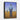 The Silent Sentinel of the Desert Framed Canvas (Black) / 11 x 14