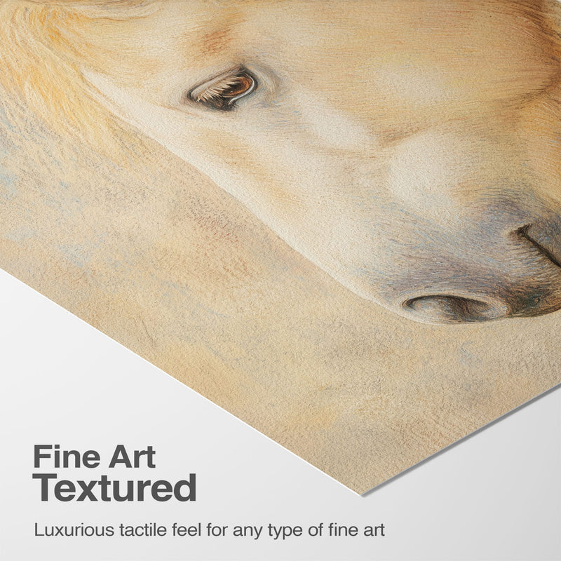 Luxurious Texture & Detail