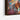Dynamic Cowboy Ride in Expressionist Colors Framed Canvas (Black) / 32 x 48