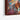 Dynamic Cowboy Ride in Expressionist Colors Framed Canvas (Walnut) / 32 x 48