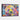 Vibrant Spectrum Bear Portrait Framed Canvas (Black) / 48 x 32