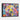 Vibrant Spectrum Bear Portrait Framed Canvas (Black) / 40 x 30