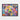 Vibrant Spectrum Bear Portrait Framed Canvas (Black) / 40 x 30