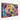 Vibrant Spectrum Bear Portrait Canvas Wrap / 48 x 32