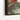 Cardinal Couple on a Whispering Pine Framed Canvas (Black) / 16 x 20