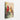 Cardinal Couple on a Whispering Pine Canvas Wrap / 32 x 48