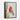 Crimson Cardinal in Textured Oils Framed Canvas (Black) / 30 x 40