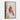 Crimson Cardinal in Textured Oils Framed Canvas (Walnut) / 20 x 30